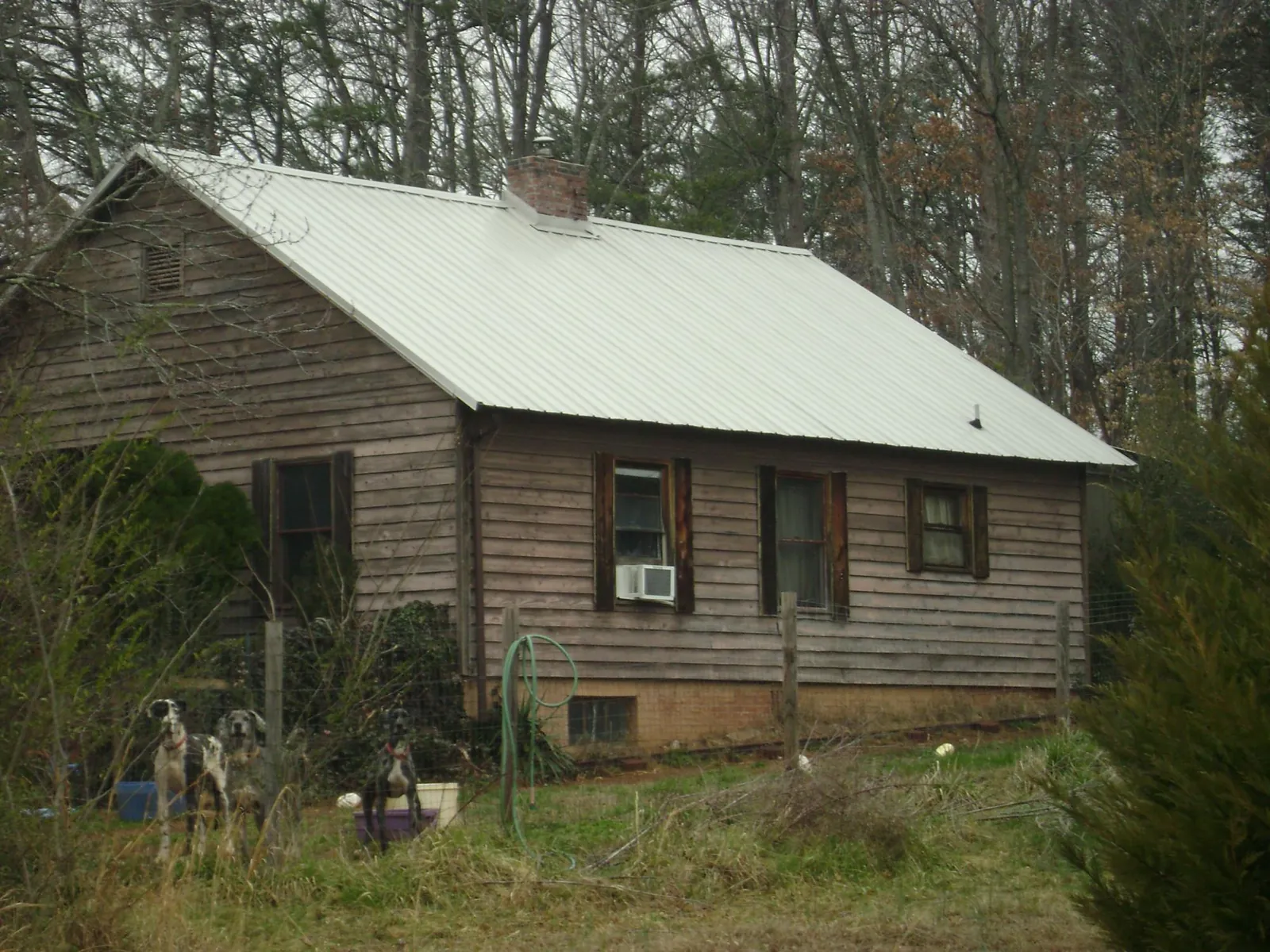 White metal roof on an old wood sided farmhouse, from a Metal Roof Installation job in Noxon